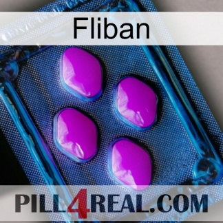 Fliban 04